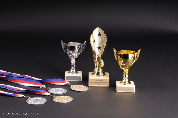 Moravská střední škola s.r.o.