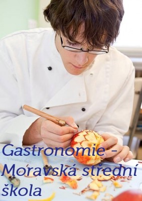 Moravská střední škola s.r.o.